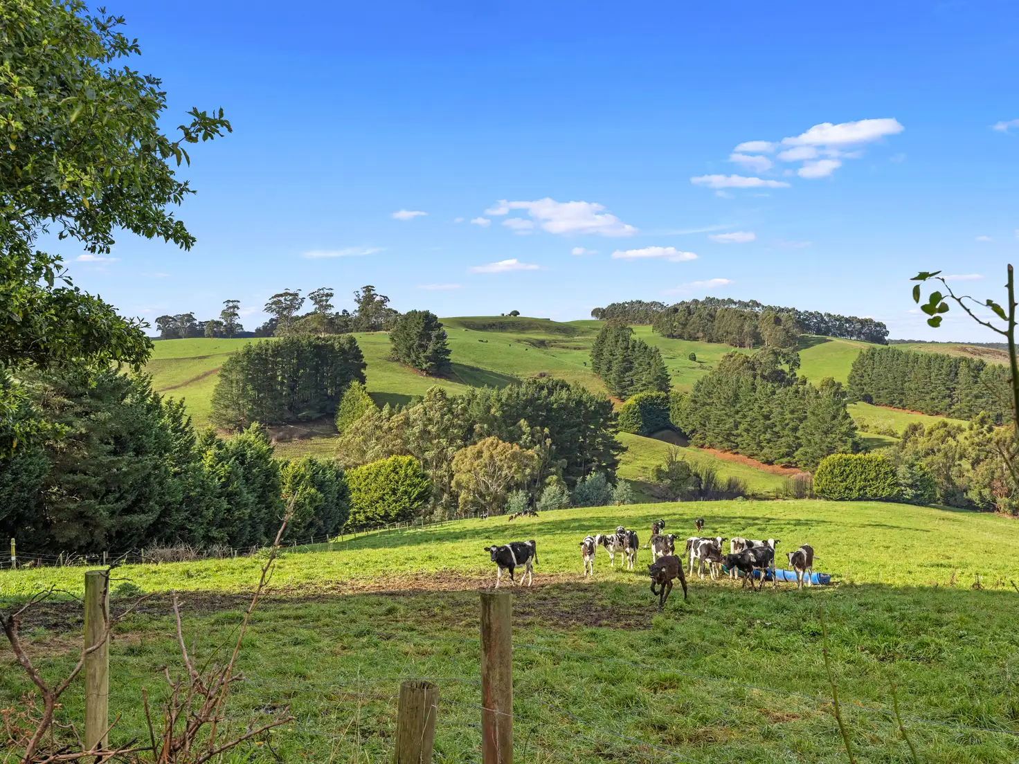 Main view of Homely house listing, 48 Bells Road, Mount Eccles VIC 3953