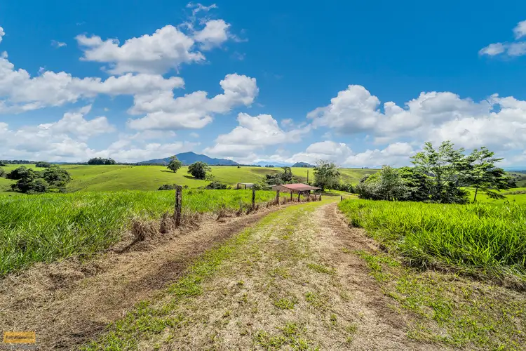 Second view of Homely rural property listing, 2522 Palmerston Highway, East Palmerston QLD 4860
