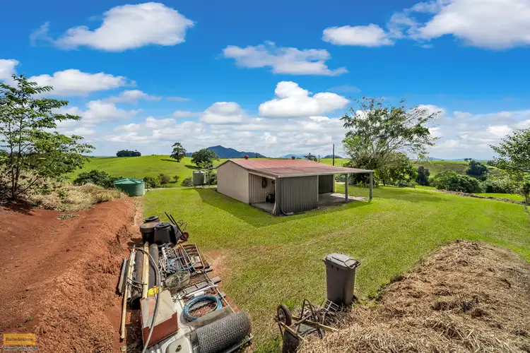 Sixth view of Homely rural property listing, 2522 Palmerston Highway, East Palmerston QLD 4860