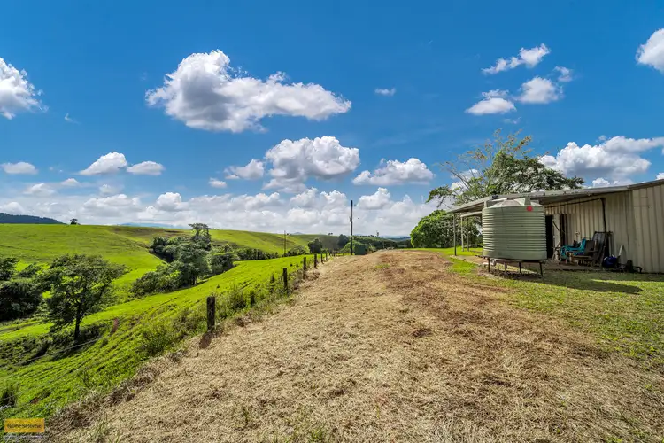 Seventh view of Homely rural property listing, 2522 Palmerston Highway, East Palmerston QLD 4860