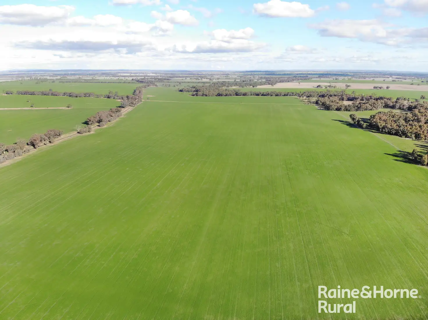 Main view of Homely rural property listing, Address available on request