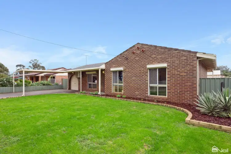 Main view of Homely house listing, 16 Ainsley Court, Camillo WA 6111