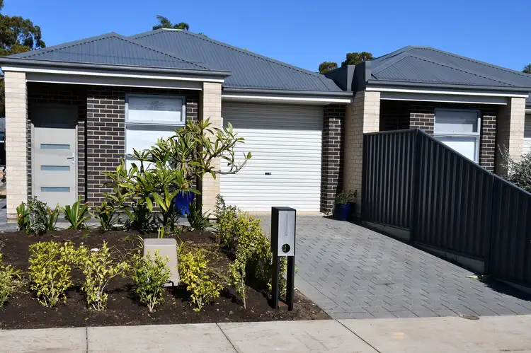 80 Celtic Avenue, Clovelly Park SA 5042