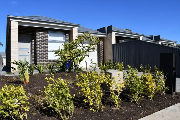 Second view of Homely house listing, 80 Celtic Avenue, Clovelly Park SA 5042
