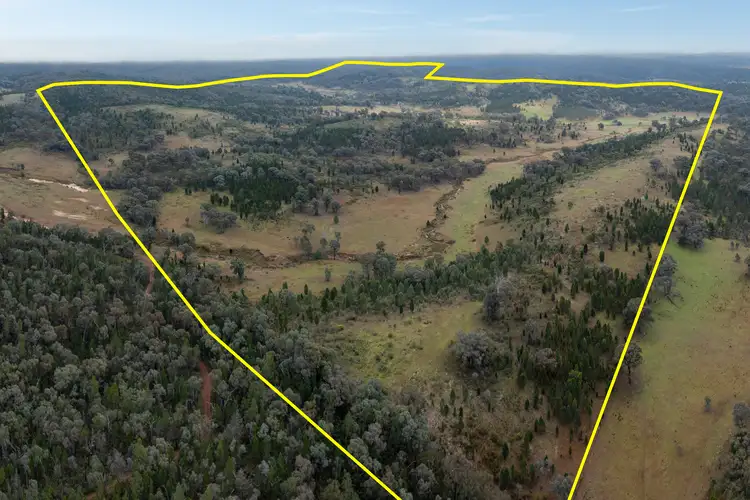 Main view of Homely rural property listing, 774 Monaghans Road, Manildra NSW 2865