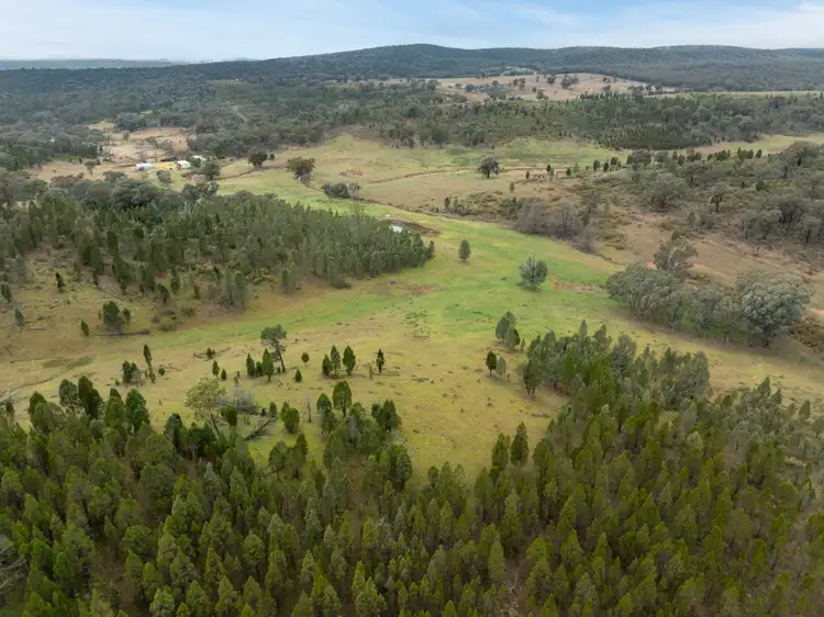 Second view of Homely rural property listing, 774 Monaghans Road, Manildra NSW 2865