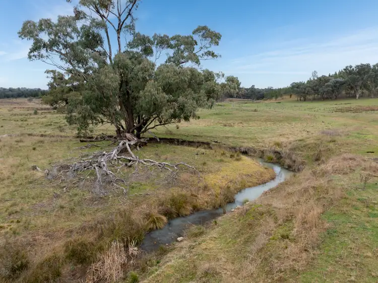 Fourth view of Homely rural property listing, 774 Monaghans Road, Manildra NSW 2865