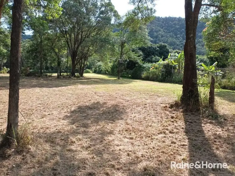 Main view of Homely land listing, Lot 54 George Road, Forest Creek, Daintree QLD 4873