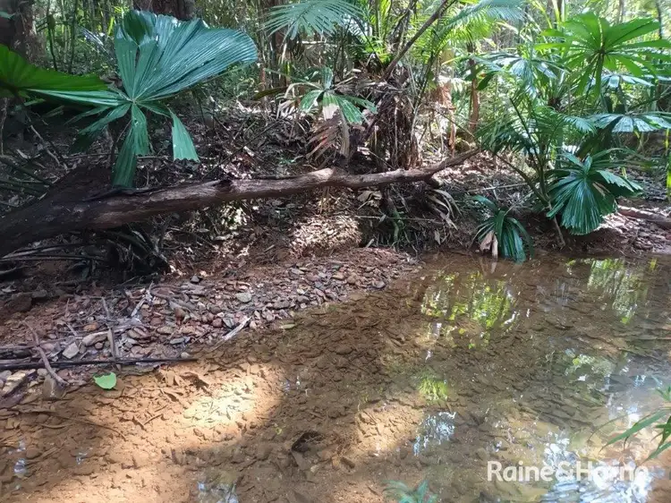 Second view of Homely land listing, Lot 54 George Road, Forest Creek, Daintree QLD 4873