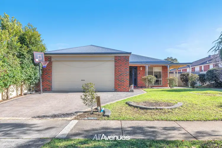 10 Lobelia Street