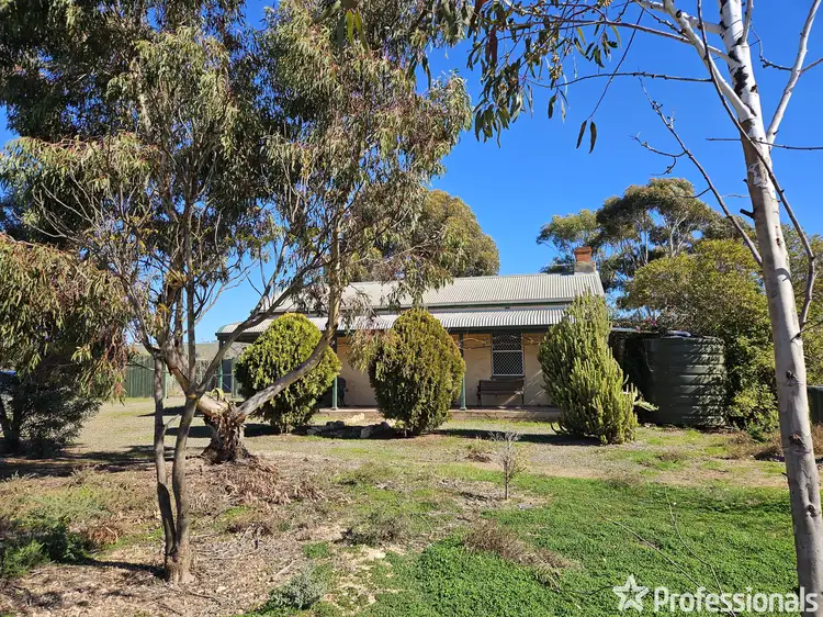 163 Hills Road, Robertstown SA 5381