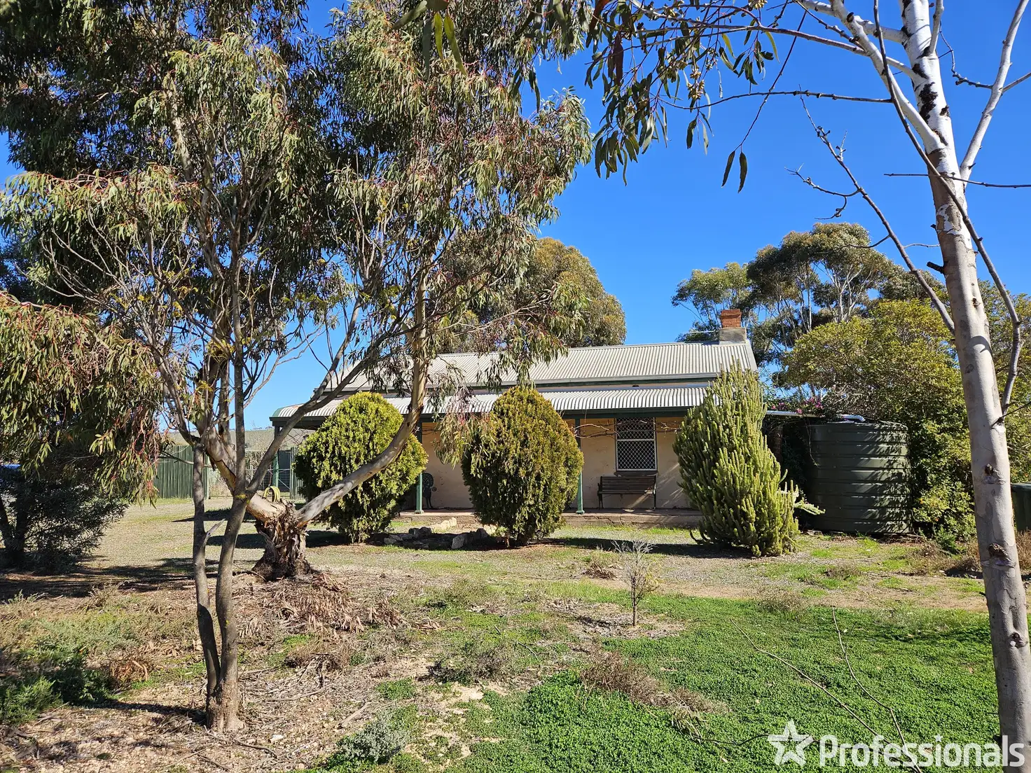 Main view of Homely rural property listing, 163 Hills Road, Robertstown SA 5381