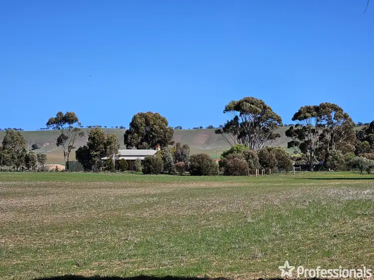 Second view of Homely rural property listing, 163 Hills Road, Robertstown SA 5381