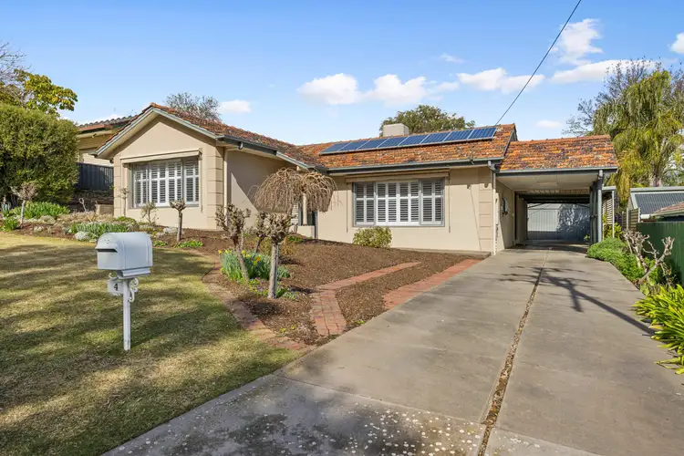 Second view of Homely house listing, 4 Blueberry Road, O'halloran Hill SA 5158