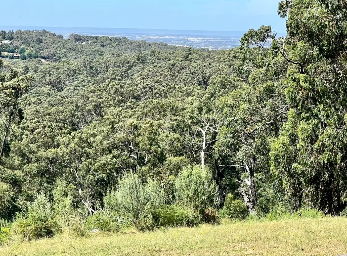 Main view of Homely land listing, 23 Hughendon Road, Beaconsfield Upper VIC 3808