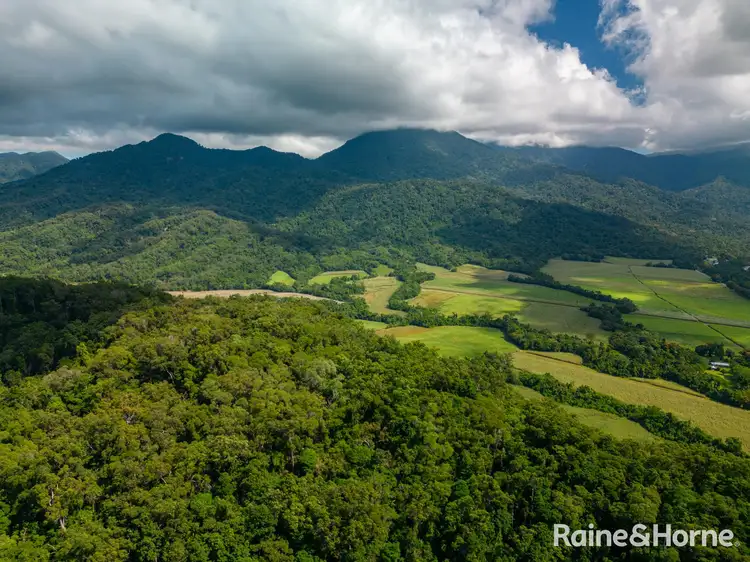 Fourth view of Homely land listing, Lot 2 Gorge View Cres, Mossman Gorge QLD 4873