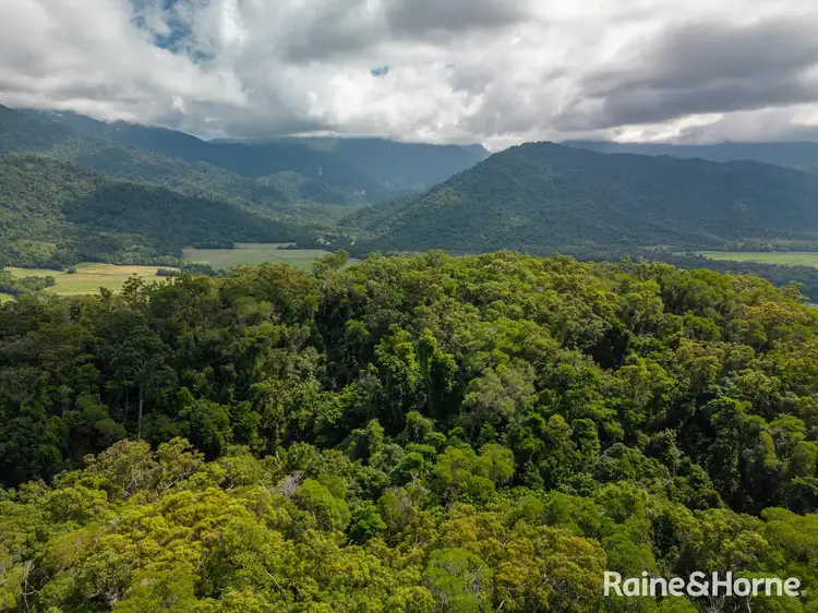 Fifth view of Homely land listing, Lot 2 Gorge View Cres, Mossman Gorge QLD 4873