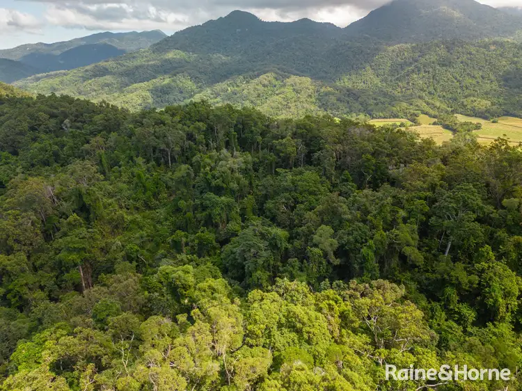Sixth view of Homely land listing, Lot 2 Gorge View Cres, Mossman Gorge QLD 4873