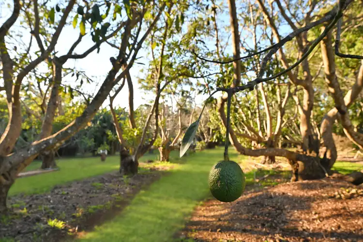 34-72 West Road, Tamborine Mountain QLD 4272