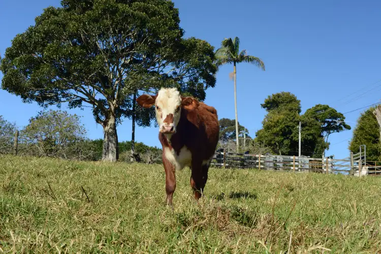 34-72 West Road, Tamborine Mountain QLD 4272