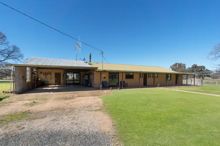 Second view of Homely rural property listing, 595 Bocobra Road, Manildra NSW 2865