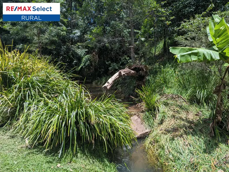 Sixth view of Homely rural property listing, 27 Bee Creek Road, Eungella QLD 4757
