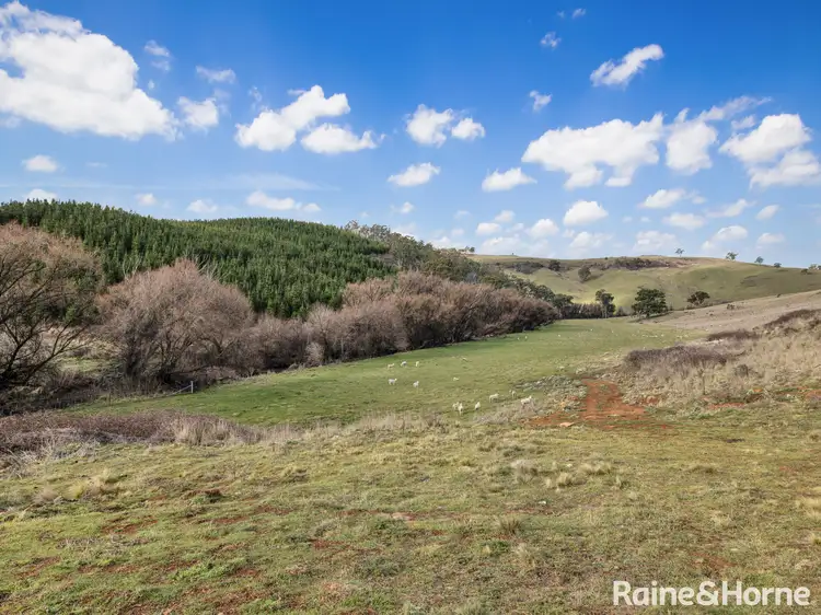 Second view of Homely land listing, 394 Swallows Nest Road, Mount David NSW 2795