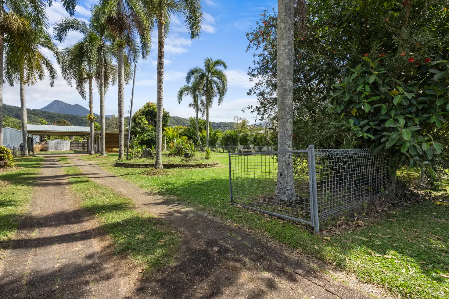 Main view of Homely house listing, 95 Alchera Drive, Mossman QLD 4873