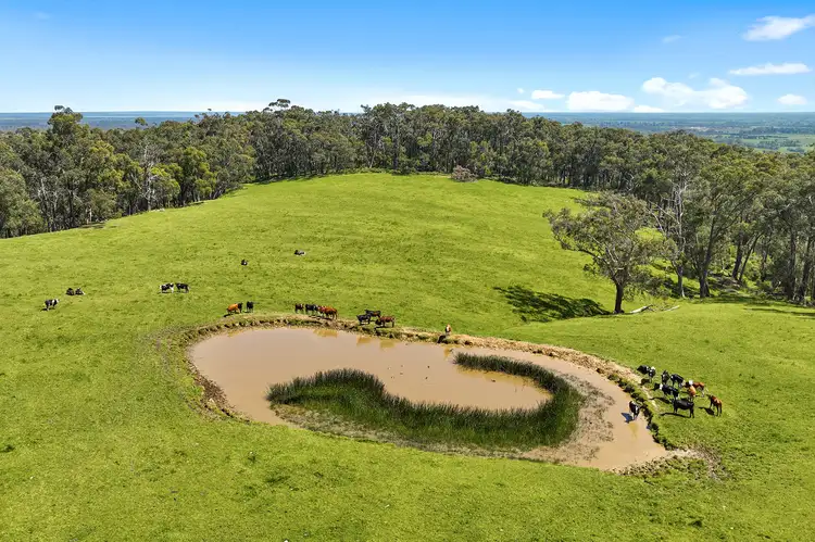 Fifth view of Homely rural property listing, 300 Mount Lyall Road, Lang Lang East VIC 3984