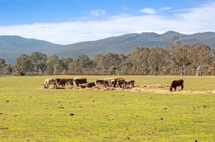 Fourth view of Homely rural property listing, L Herrmanns Road, Cavendish VIC 3314