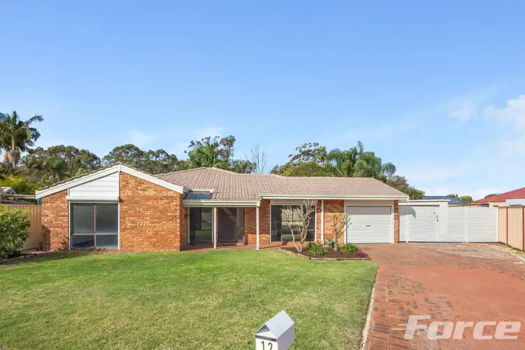 12 Peppermint Place, Morley WA 6062