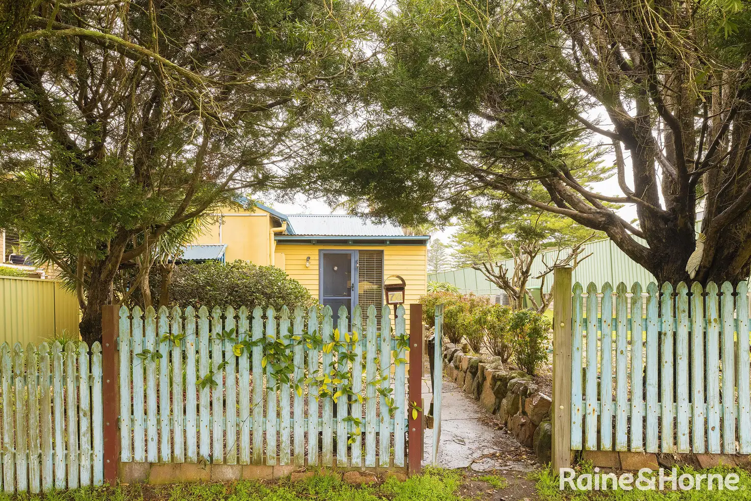 Main view of Homely house listing, 74 Campbell Avenue, Anna Bay NSW 2316