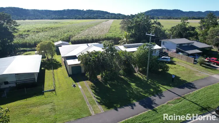 Fourth view of Homely house listing, 50 Alchera Drive, Mossman QLD 4873