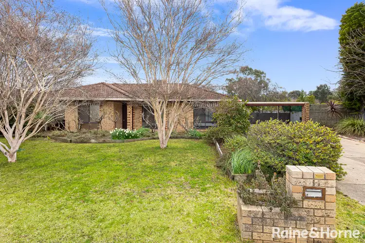 Main view of Homely house listing, 19 Maple Road, Lake Albert NSW 2650