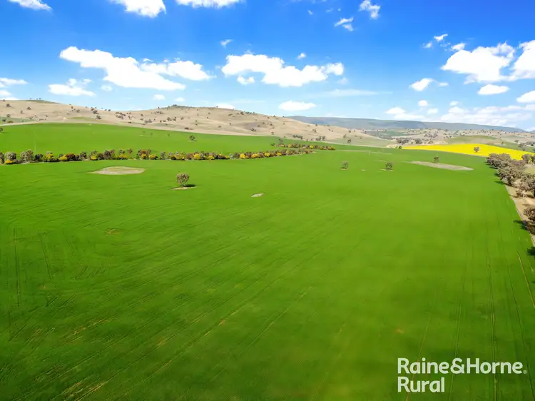 Main view of Homely rural property listing, 254 Warrendale Road, Koorawatha NSW 2807