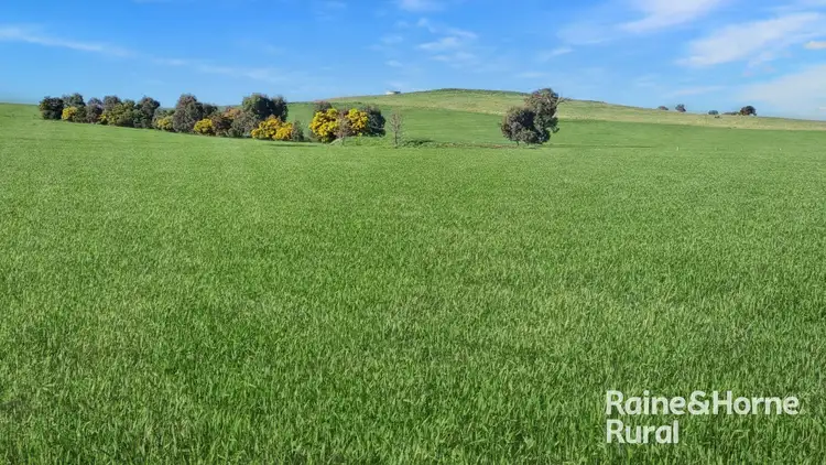Third view of Homely rural property listing, 254 Warrendale Road, Koorawatha NSW 2807