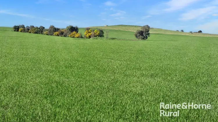 Fourth view of Homely rural property listing, 254 Warrendale Road, Koorawatha NSW 2807