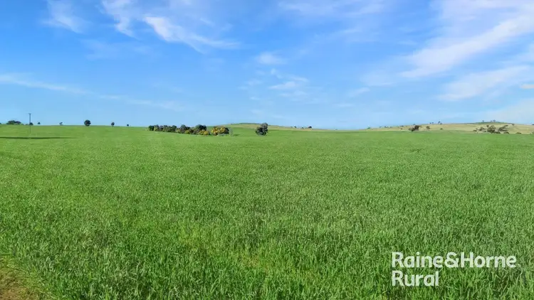Fifth view of Homely rural property listing, 254 Warrendale Road, Koorawatha NSW 2807