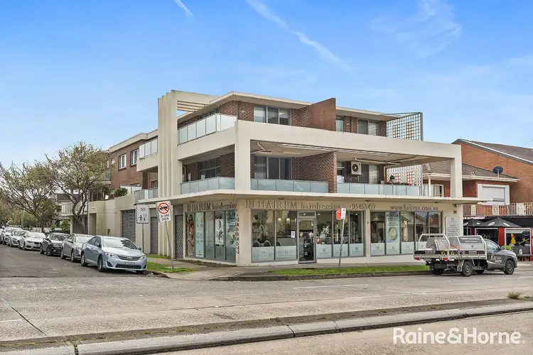 3/311 Princes Highway, Carlton NSW 2218