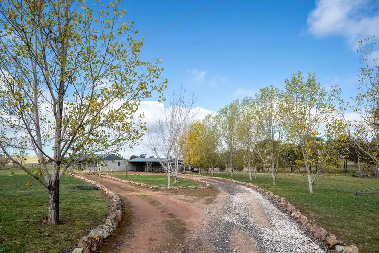 Third view of Homely rural property listing, 5596 Obley Road, Yeoval NSW 2868