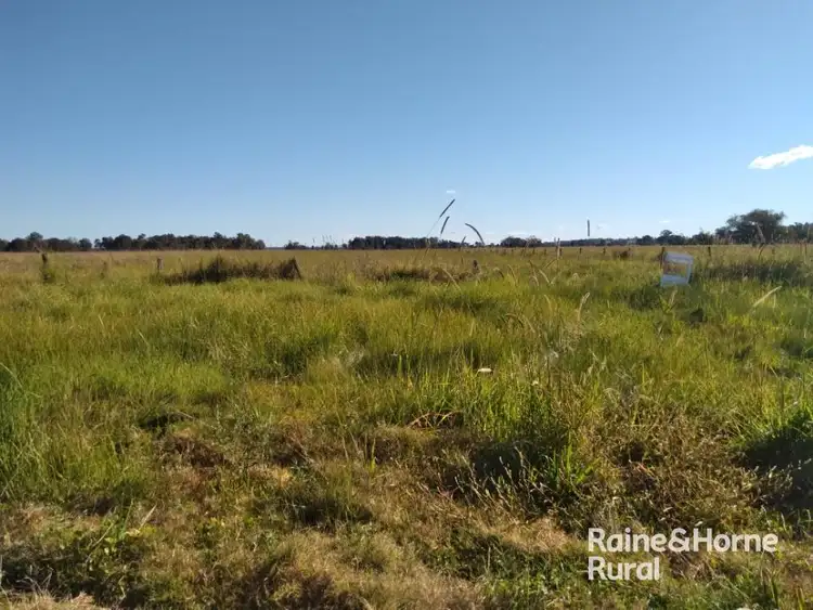 Second view of Homely rural property listing, 53 Yabsley Street, Coraki NSW 2471