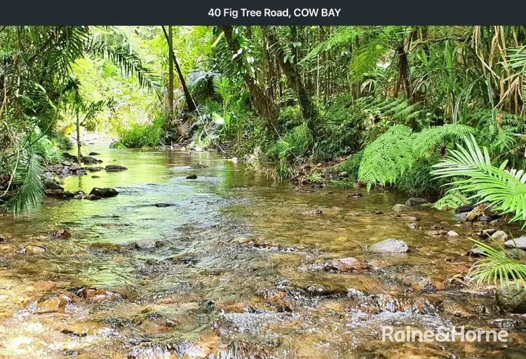 Second view of Homely house listing, 40 Fig Tree Road, COW BAY, Daintree QLD 4873
