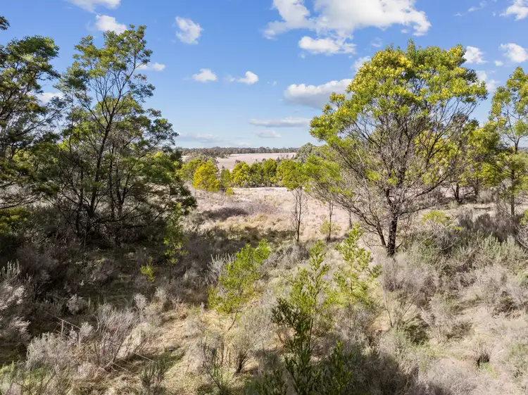 Second view of Homely rural property listing, 157 Langi Rd, Quialigo NSW 2580