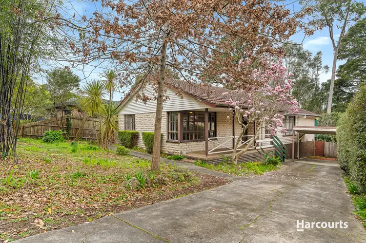 37 Sonia Street, Ringwood VIC 3134