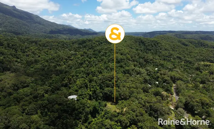 Main view of Homely house listing, 39 Whiteley Road, Miallo QLD 4873
