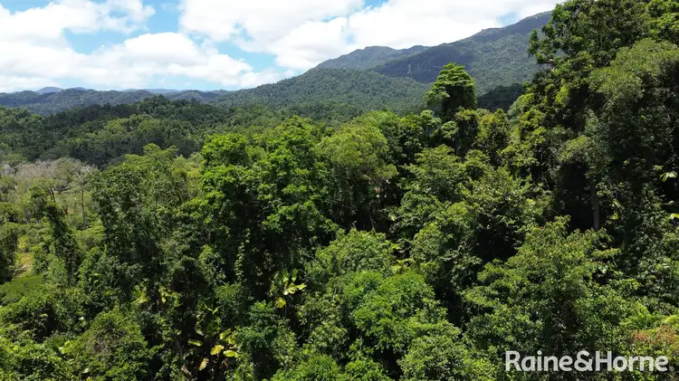 Sixth view of Homely house listing, 39 Whiteley Road, Miallo QLD 4873