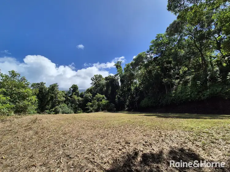 Seventh view of Homely house listing, 39 Whiteley Road, Miallo QLD 4873