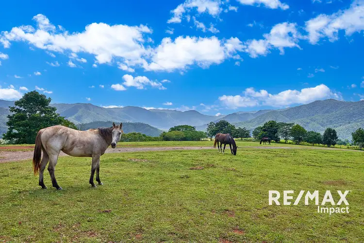 332 Goldsborough Road, Goldsborough QLD 4865