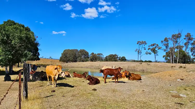 Third view of Homely rural property listing, 13286 Isis Highway, Ban Ban Springs QLD 4625