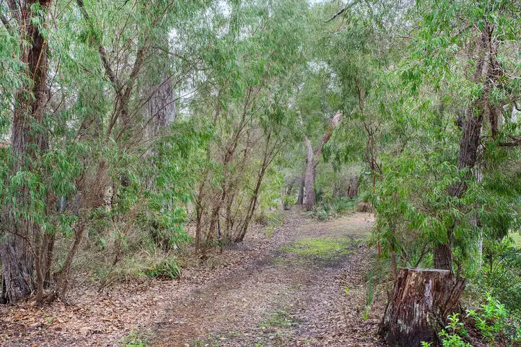 Main view of Homely land listing, 17 Flora Grove, Molloy Island WA 6290